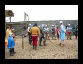 Mittelaltermarkt und Turnier auf der Eyneburg: Foto 5